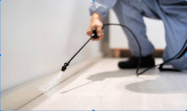 Why Pest Control is Essential for Real Estate Value Why Pest Control is Essential for Real Estate Value
