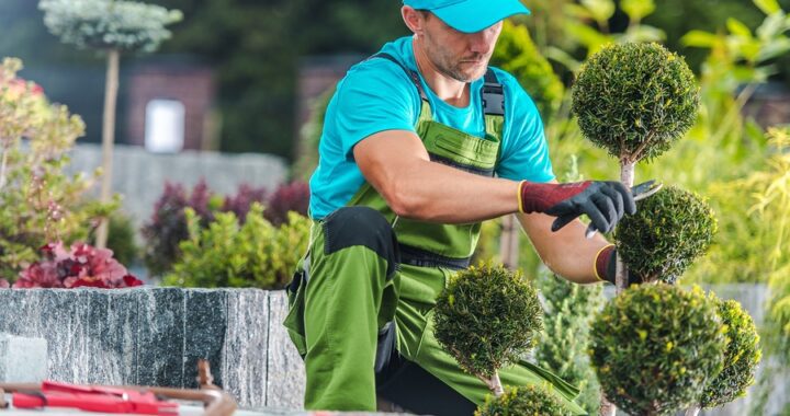 What to Look for in a Landscape Company